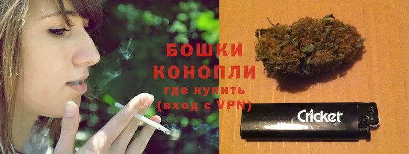 Конопля THC 21%  Котельники 